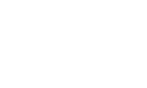austin