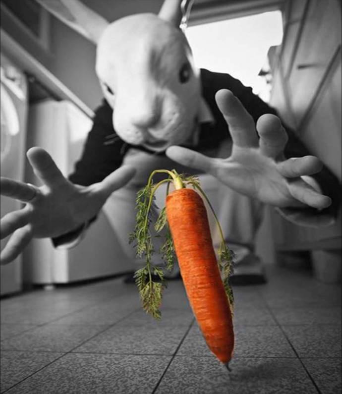 Business team CoolRabbit.Pro